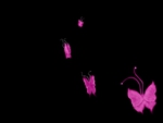 Butterflies, pink on black
