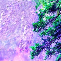 Tahquamenon Falls Color