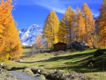 Autumn in mountains