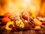 Autumn Still Life
