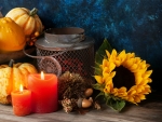 Autumn Still Life