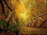 Autumn Bridge