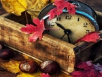 Autumn time