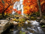 Autumn Waterfall