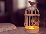 *Bird candle*