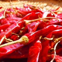 Red Chillies