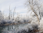 Winter River