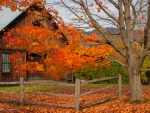 Wooden house in autumn