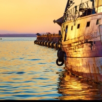 Moyan Brenn- Anzio Porto Allalba