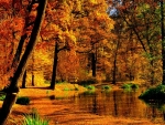 Autumn Pond