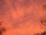 Red Sky in November