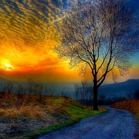 Beautiful Nature Painting