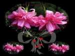 flowers,pink,black,color,