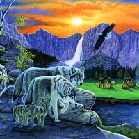 Path of the Wolf Spirit