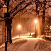 Winter Night