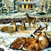 Deers in Winter