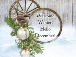 *Welcome Winter*Hello December*