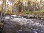 Fall Rapids