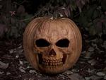 Skull Jack O Lantern