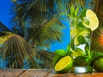 Summer Cocktail