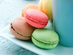 Colorful Macaroons