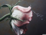 Rose flower painting