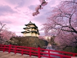 Cherry blossom Japan