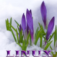Linux