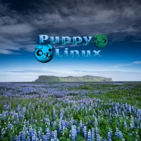 Puppy Linux