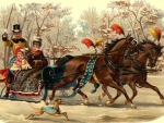 walk in the woods with sleigh and horse team