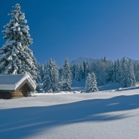 Winter Cabin