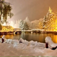 Winter Scenery