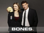 Bones