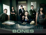 Bones