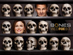 Bones