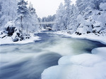 Frozen River