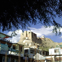 leh palace