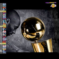 Lakers 2008-2009 season schedule