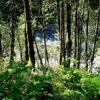 Nooksack River Below