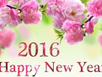 Happy New Year...2016