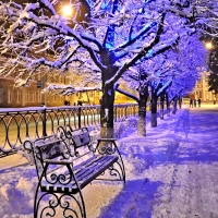 Winter Park at Night