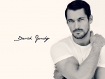 David Gandy
