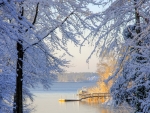 Winter Lake