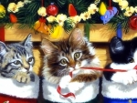 Christmas Kittens