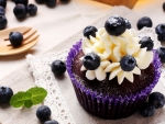Blueberry Cupcake