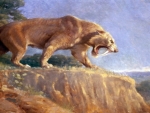 saber toothed tiger