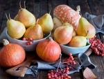 Autumn Fruits