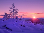 Winter Sunset