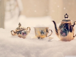 *** *Snow***Tea* ***