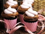 Chocolate Cupcakes